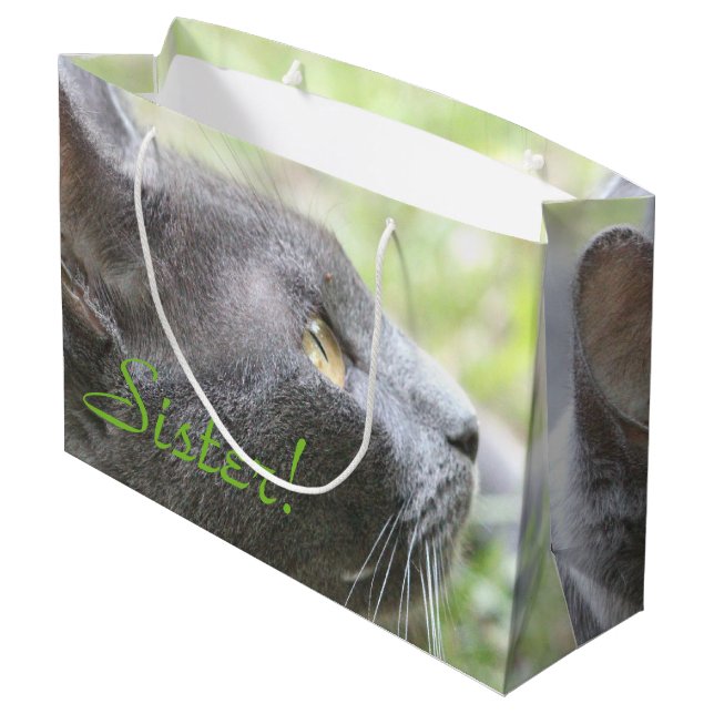 Sister Gift Bag (Back Angled)