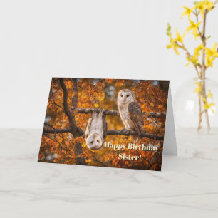 Sister Happy Birthday Humor Funny with Two Owls Card
