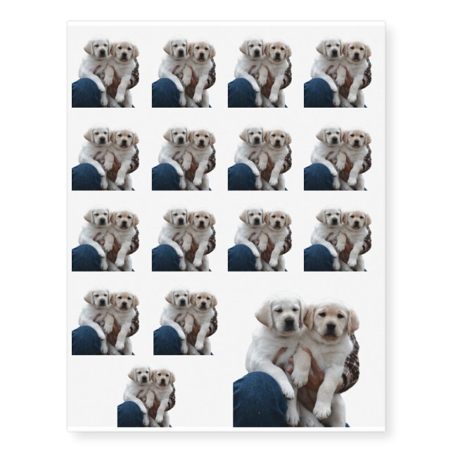 Sister Labs Temporary Tattoos (Front)