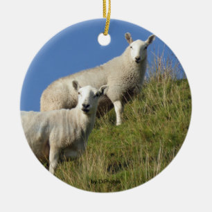 Sister Sheep Ornament