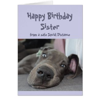 Sister Social Distancing Birthday Great Dane Dog