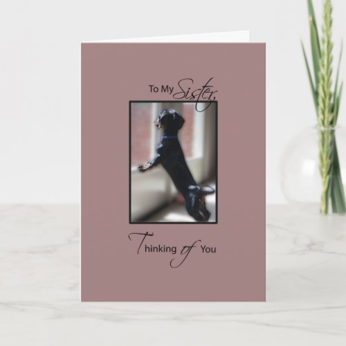 Sister Thinking of You with Little Dog Get Well Card
