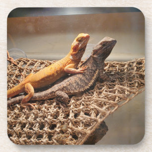 Sisterly Love Beverage Coaster