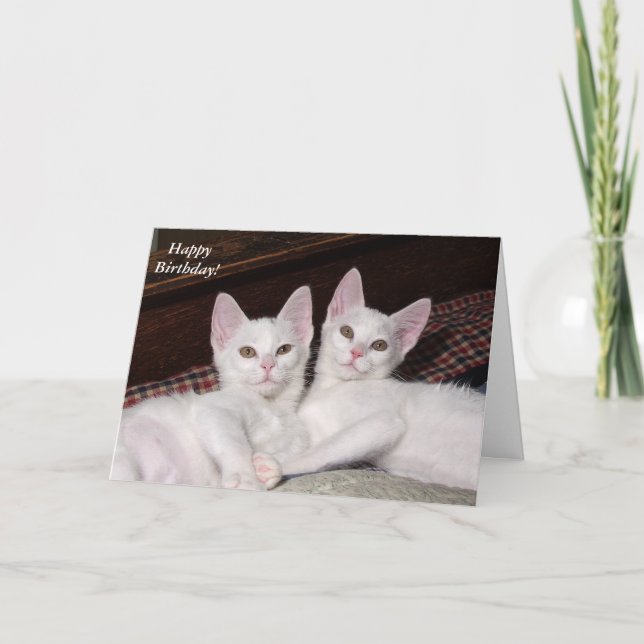 Sisterly Love Twins Cat Birthday Card (Front)