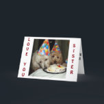 SISTER'S BIRTHDAY-REMEMBER ALL WE HAVE SHARED! CARD<br><div class="desc">WHAT A "CUTE CARD" FOR THE "SISTER" IN YOUR LIFE THAT YOU HAVE "SHARED SO MUCH WITH" THROUGH THE YEARS. SHE WILL "LOVE IT!"</div>