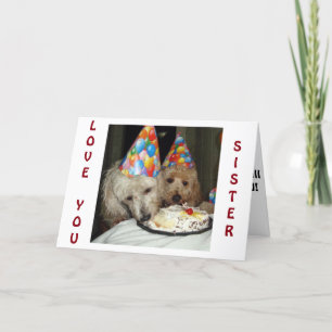 SISTER'S BIRTHDAY-REMEMBER ALL WE HAVE SHARED! CARD