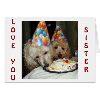 SISTER'S BIRTHDAY-REMEMBER ALL WE HAVE SHARED! CARD