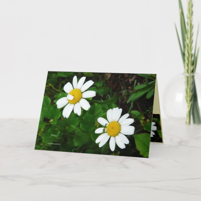 Sisters Card (Front)