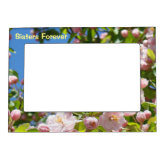 Magnetic Photo Frame Gift For Sister – “Love You Forever” Keepsake With Pastel Design | Fridge, Locker & Metal Surface Magnet Frame