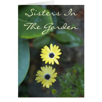 Sisters In The Garden - Sister Card by shotwellphoto at Zazzle