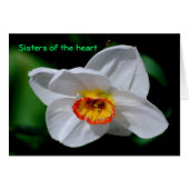 Sisters of the heart (Front Horizontal)