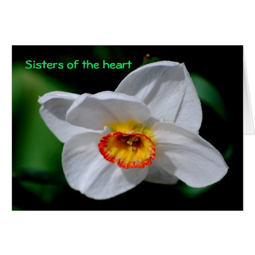 Sisters of the heart