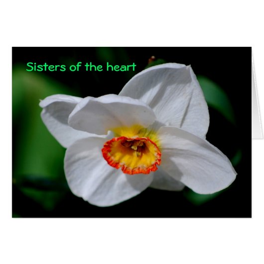 Sisters of the heart cards (Front Horizontal)