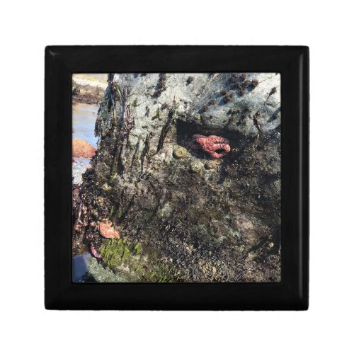 Sisters Rock State Park Oregon Coast Gift Box