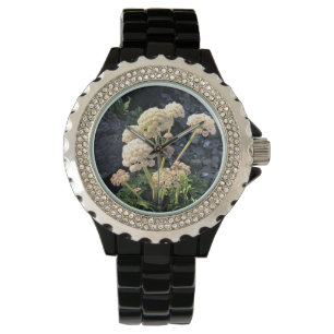 Sisters Rock State Park, Oregon Coast Watch