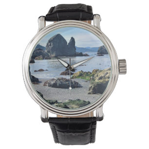 Sisters Rock State Park, Oregon Coast Watch