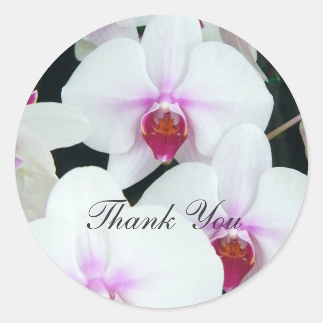 Sisters - Thank You Classic Round Sticker (Front)