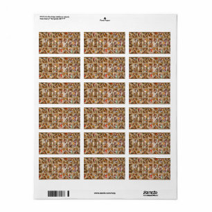Sistine Chapel Ceiling by Michelangelo Label