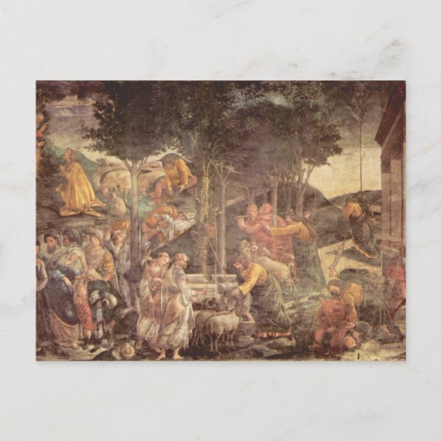 Sistine Chapel -The youth of Moses Postcard (Front)