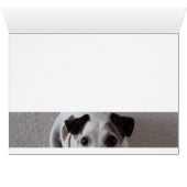 Sit Dog Cards (Inside Horizontal (Bottom))