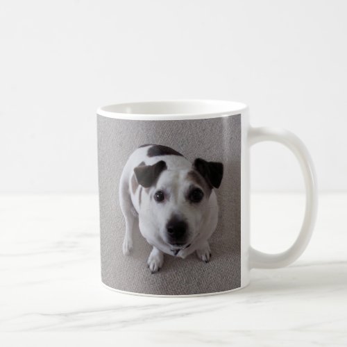 Sit Dog Coffee Mug