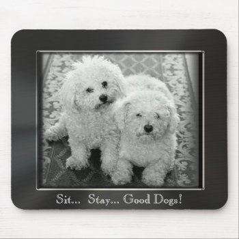 Sit.. Stay.. Good Dogs! Photo Frame Mousepad by MetalShop at Zazzle