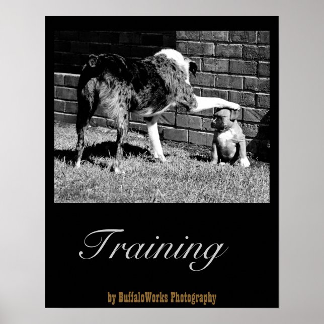 Sit- - - Stay - - - Poster (Front)