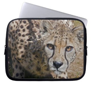 Sita Laptop Sleeve