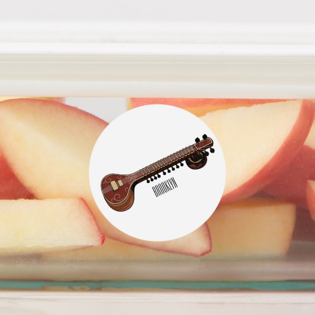 Sitar cartoon illustration labels (Affixed)