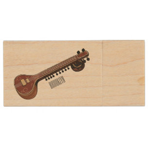 Sitar cartoon illustration wood flash drive