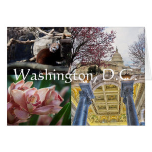 Sites of Washington, D.C. Cards