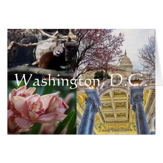 Sites of Washington, D.C. Cards (Front Horizontal)