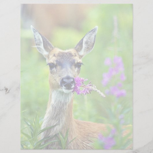 Sitka Black-tailed Deer with Fireweed (Front)