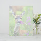 Sitka Black-tailed Deer with Fireweed (Standing Front)