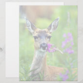 Sitka Black-tailed Deer with Fireweed (Front/Back)