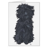 Sitting Affenpinscher (Front)