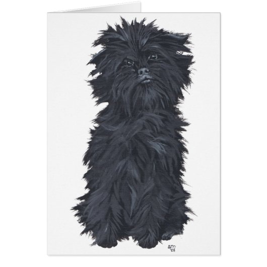 Sitting Affenpinscher Cards (Front)