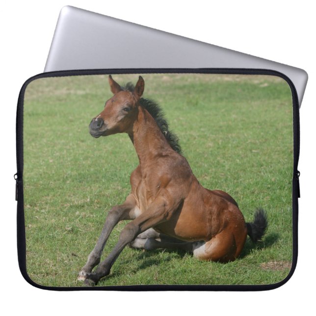 Sitting Arab Foal Laptop Sleeve (Front)