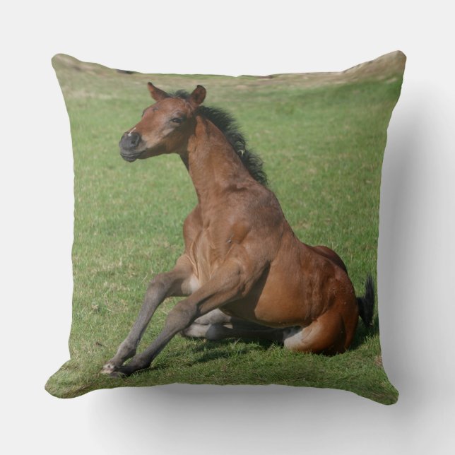 Sitting Arab Foal Throw Pillow (Front)
