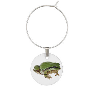 Sitting Arizona Tree Frog Photograph Wine Charm