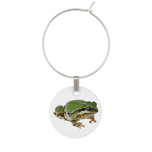 Sitting Arizona Tree Frog Photograph Wine Charm (Front)