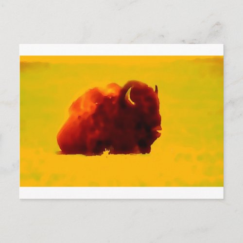 Sitting Bison Postcard