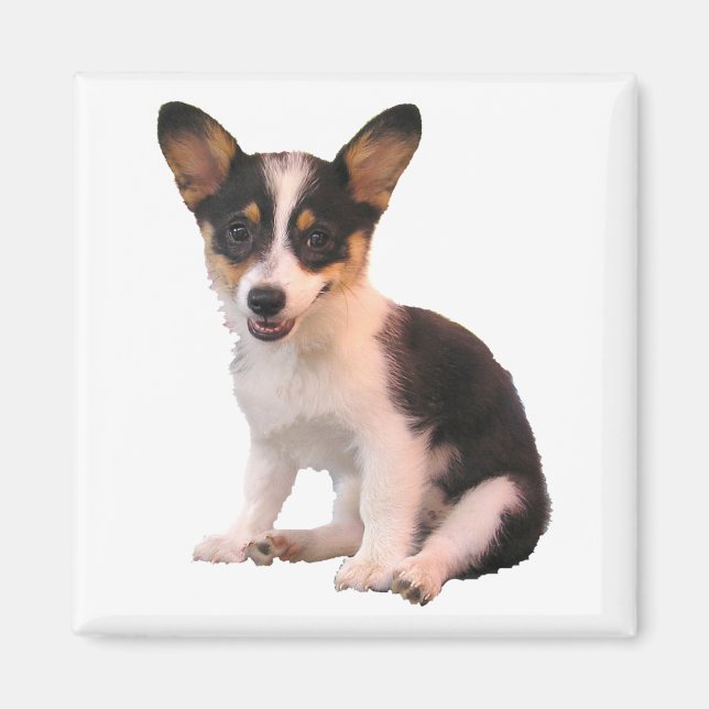Sitting Cardigan Welsh Corgi Puppy Magnet (Front)
