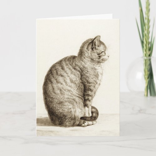 Sitting cat black and white pencil drawing card