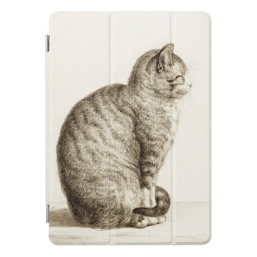 Sitting cat black and white pencil drawing iPad pro cover