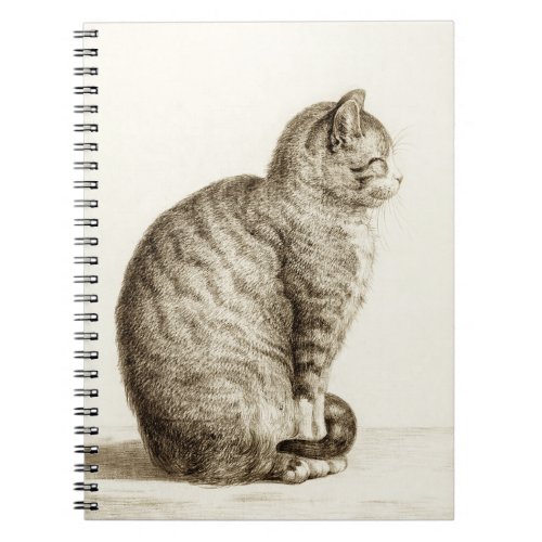 Sitting cat black and white pencil drawing notebook