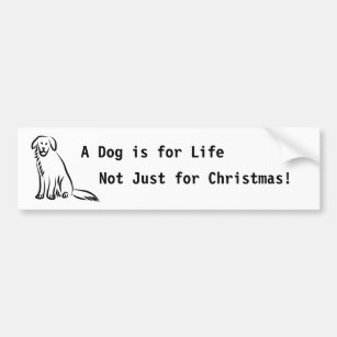 Sitting Dog, A Dog is for Life, Not Just for Ch... Bumper Sticker