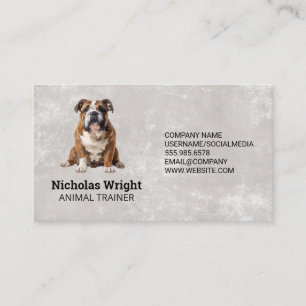 Sitting Dog Trainer Groomer Services Business Card