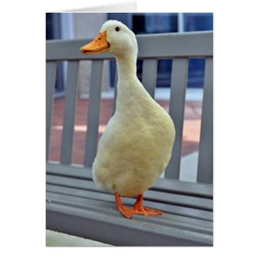 "SITTING DUCK" says ***MISSING YOU*** BOO HOO Card "SITTING DUCK" says ***MISSING YOU*** BOO HOO Card