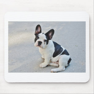 sitting french bulldog mouse pad